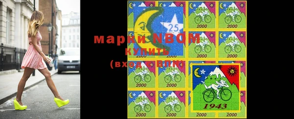 молекула духа Балахна