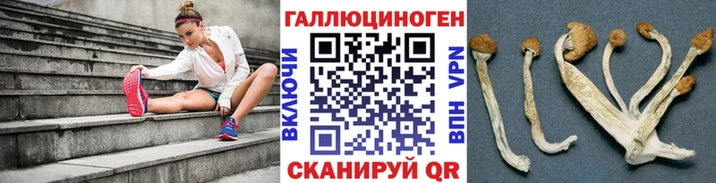 Галлюциногенные грибы Cubensis  сколько стоит  Бикин 